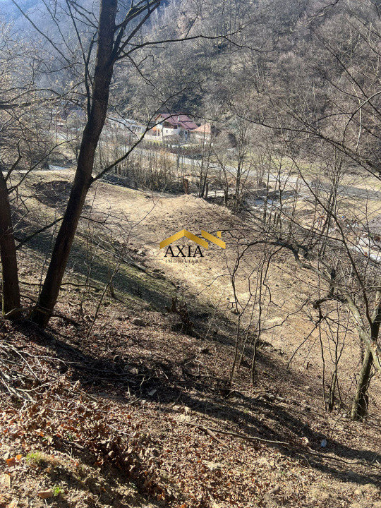 Teren de vânzare Măguri-Răcătău – 1400 mp, natură, utilități aproape