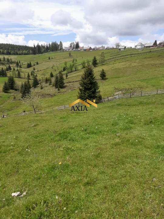 🔥 Teren generos de vânzare în Măguri, Cluj – 13.696 mp, utilități și acces! 🔥