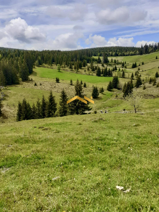 🔥 Teren generos de vânzare în Măguri, Cluj – 13.696 mp, utilități și acces! 🔥