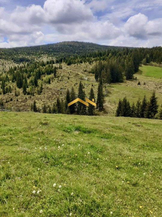 🔥 Teren generos de vânzare în Măguri, Cluj – 13.696 mp, utilități și acces! 🔥