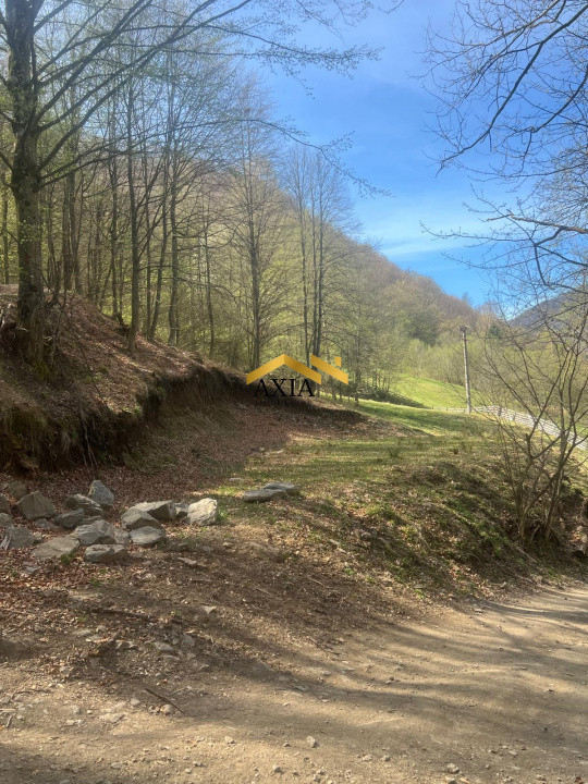 Teren intravilan 702 mp Maguri-Răcătău | Zonă liniștită | Ideal cabană