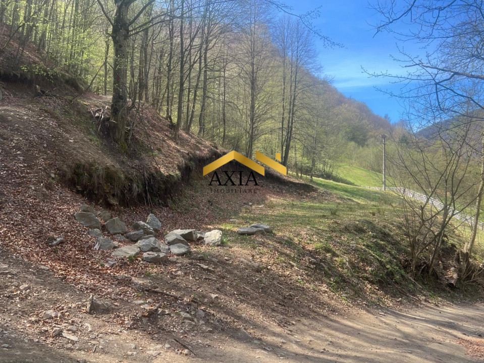 Teren intravilan 702 mp Maguri-Răcătău | Zonă liniștită | Ideal cabană