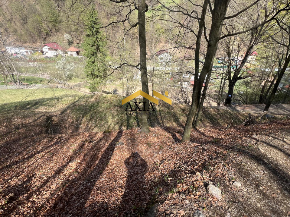 Teren intravilan 702 mp Maguri-Răcătău | Zonă liniștită | Ideal cabană