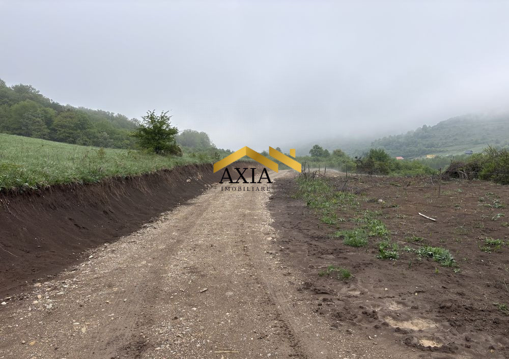 Teren Intravilan 4.300 mp | Valea Gârbăului | Front 21 ml | 60 €/mp | Investiție