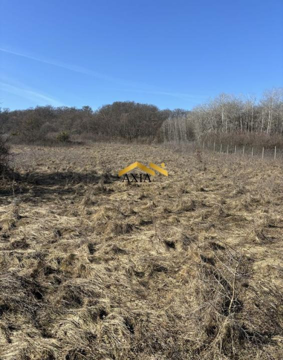 Teren Intravilan 4.300 mp | Valea Gârbăului | Front 21 ml | 60 €/mp | Investiție