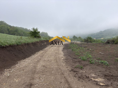 Teren Intravilan 4.300 mp | Valea Gârbăului | Front 21 ml | 60 €/mp | Investiție