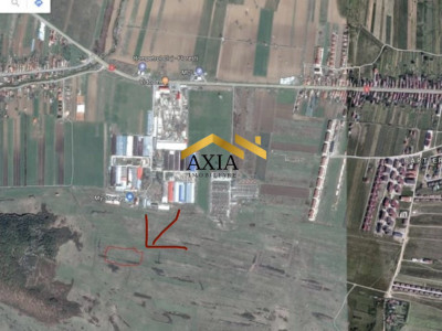 Vând teren 5.600 mp – Lona – Florești, în spatele halelor (zona PECO VID)