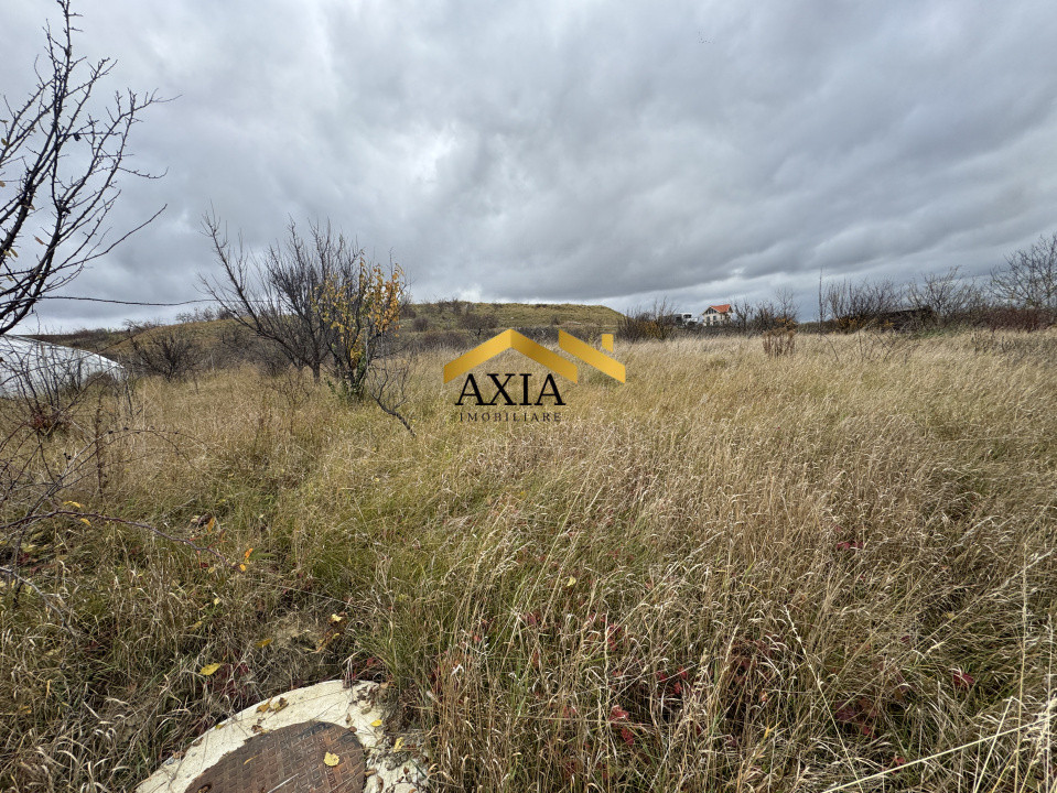 Teren Intravilan, Valea Fanatelor, 1277 mp!