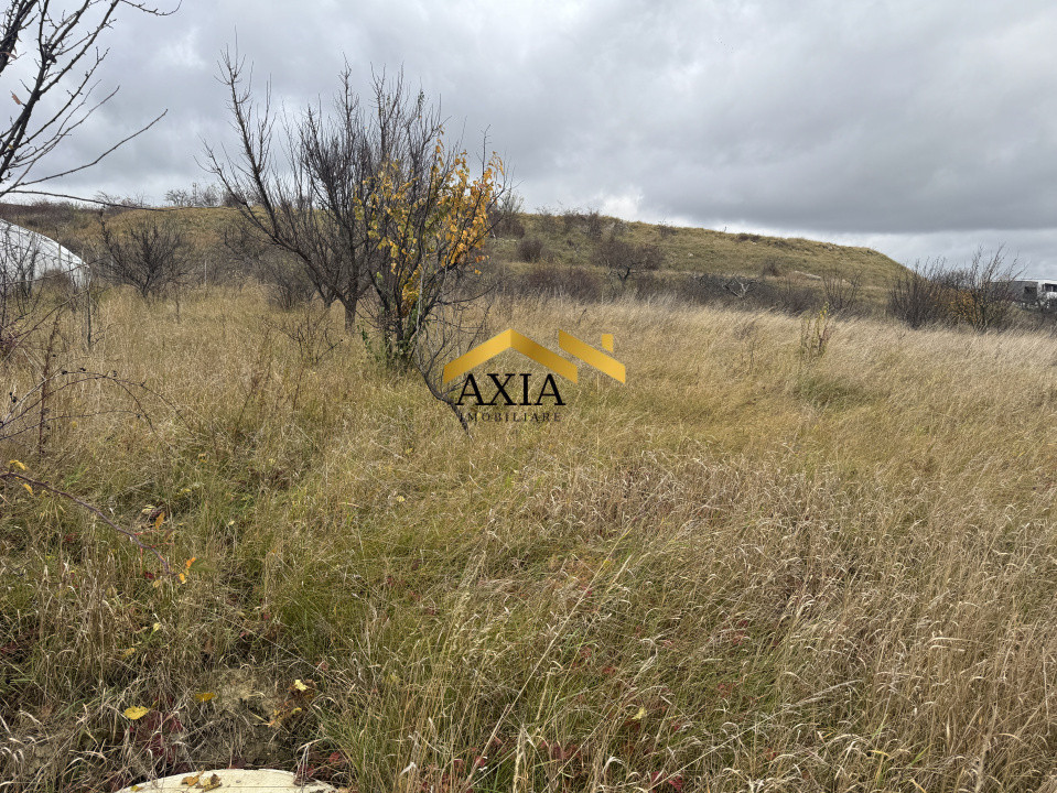 Teren Intravilan, Valea Fanatelor, 1277 mp!