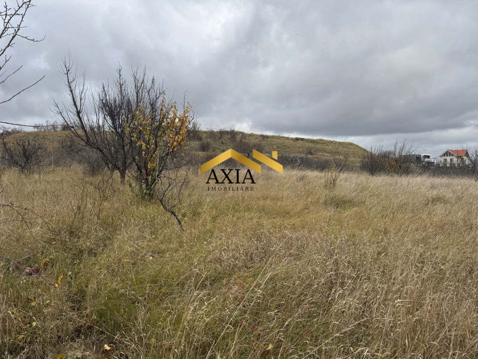 Teren Intravilan, Valea Fanatelor, 1277 mp!